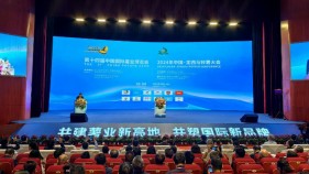 甘肃定西：以“薯”为媒 共商发展